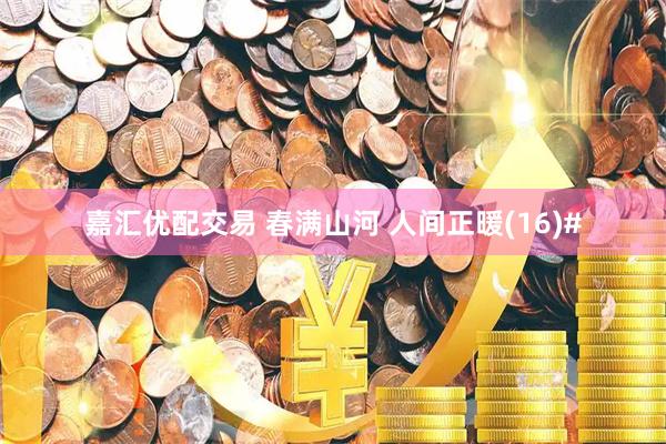 嘉汇优配交易 春满山河 人间正暖(16)#
