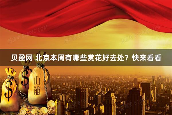 贝盈网 北京本周有哪些赏花好去处？快来看看