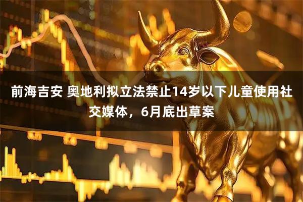 前海吉安 奥地利拟立法禁止14岁以下儿童使用社交媒体，6月底出草案