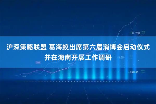 沪深策略联盟 葛海蛟出席第六届消博会启动仪式并在海南开展工作调研