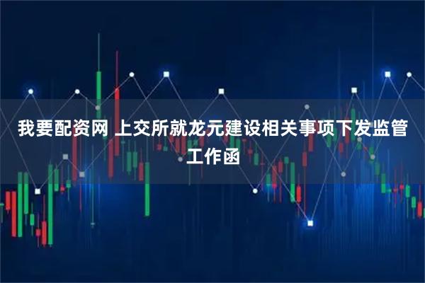 我要配资网 上交所就龙元建设相关事项下发监管工作函