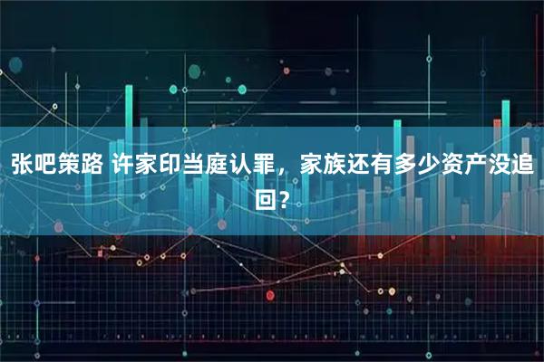 张吧策路 许家印当庭认罪，家族还有多少资产没追回？