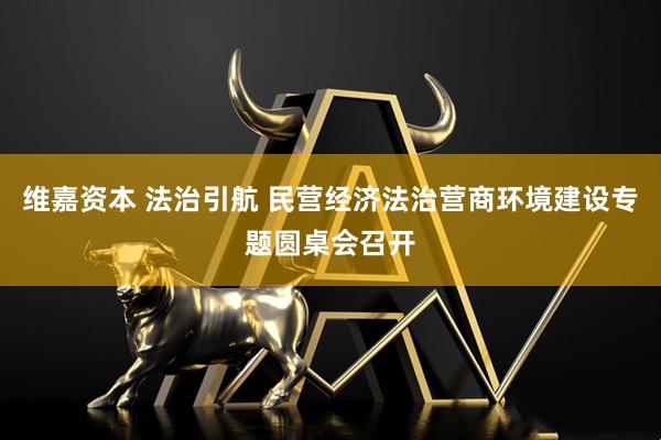 维嘉资本 法治引航 民营经济法治营商环境建设专题圆桌会召开