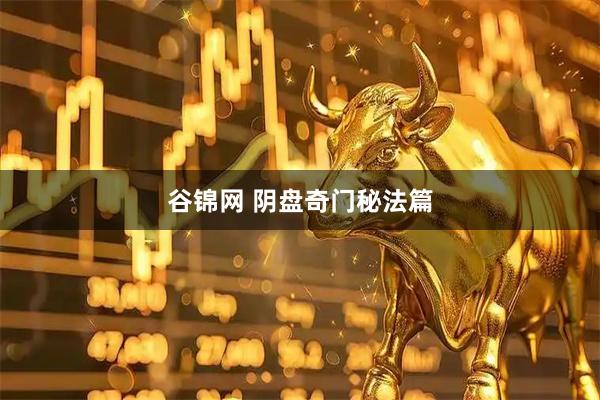 谷锦网 阴盘奇门秘法篇