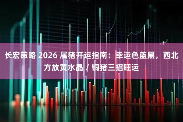 长宏策略 2026 属猪开运指南：幸运色蓝黑，西北方放黄水晶 / 铜猪三招旺运