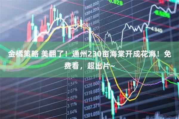 金橘策略 美翻了！通州230亩海棠开成花海！免费看，超出片~
