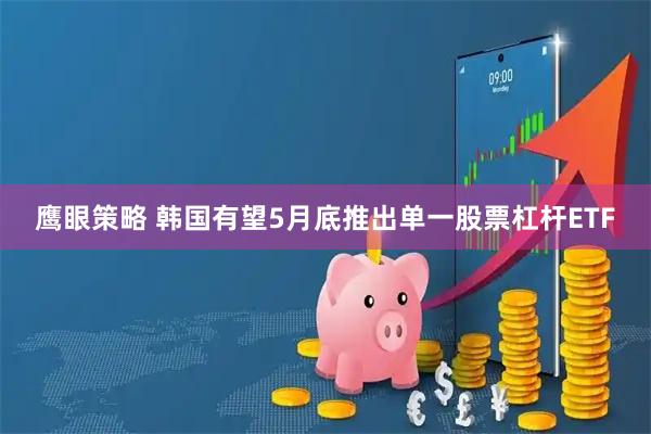 鹰眼策略 韩国有望5月底推出单一股票杠杆ETF