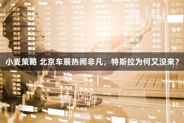 小麦策略 北京车展热闹非凡，特斯拉为何又没来？