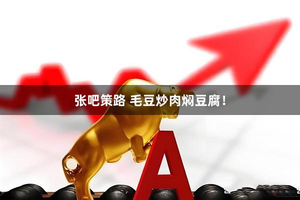 张吧策路 毛豆炒肉焖豆腐！